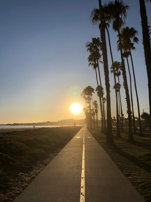Zwischen Palmen am Pazifik-Strand entlang in den Sonnenuntergang