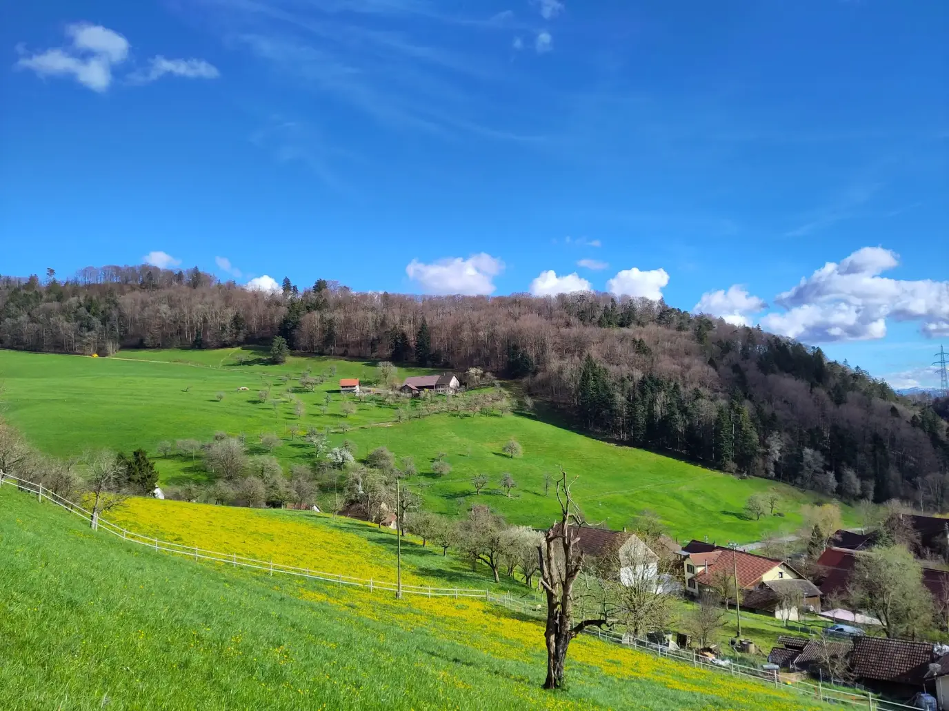 Wiesen und Häuser im Jura.