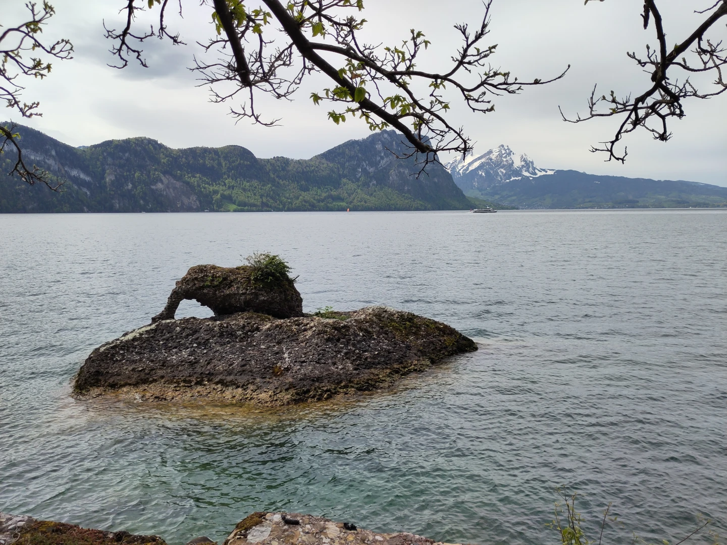 Der See-Elefant ist eine Felsformation im Wasser in Ufernähe, die in ihrer Form an einen auf dem Felsen stehenden Elefanten erinnert.